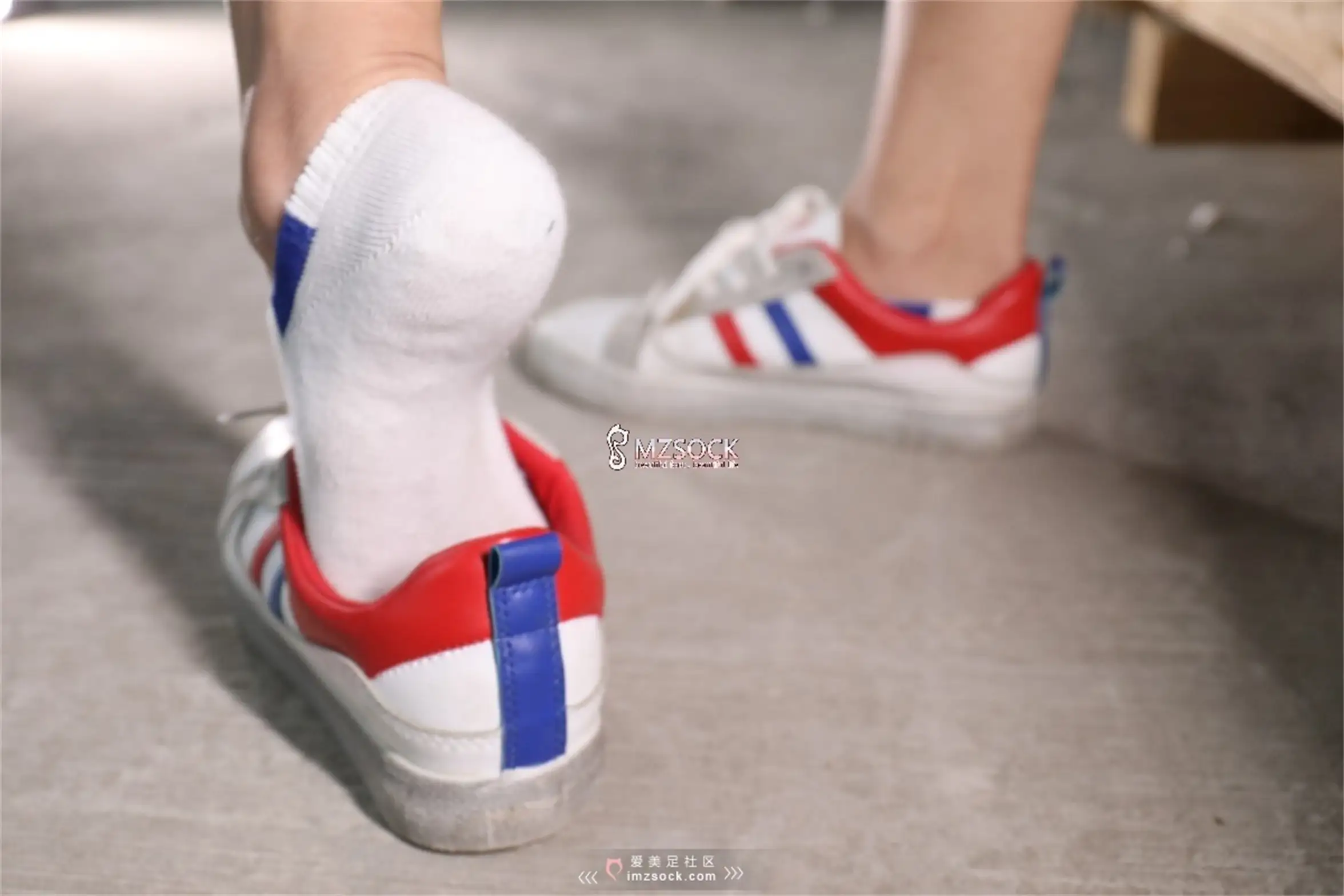 [Mzsock] Love Beauty Foot NO.066 Ding#[74P]-9