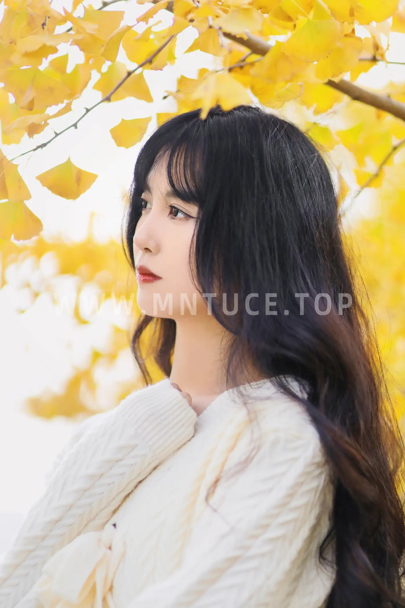 [YITUYU] 2022.11.19 vol.2472 -Huaiqiu Light cherry blossom#[24P]-14